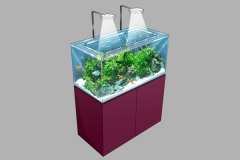 aquarium-view-Ajust